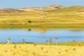 Hilly landscape with cornfields.ITALY Royalty Free Stock Photo