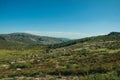 Hilly landscape covered by green fields and rocks Royalty Free Stock Photo