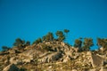 Hilly landscape covered by rocks and trees on sunset Royalty Free Stock Photo