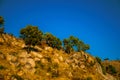 Hilly landscape covered by rocks and trees on sunset Royalty Free Stock Photo