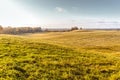 Hilly landscape field agriculture nature farmland country view springtime