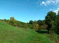 Hilly landscape on hiking-trail Vitaltour Stein, Wein & Farbe in Nahe-Region of rhineland-palatinate