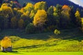 Hilly meadow in lush green with trees in bright autumn leaves Royalty Free Stock Photo