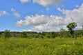 A hilly meadow overgrown with weeds and bushes under a blue sky. Royalty Free Stock Photo