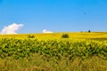 The hilly nature of Eastern Europe with fertile soils for agriculture. Landscape or background Royalty Free Stock Photo