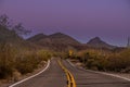 Hilly Road Through Saguaro National Park At Sunset Royalty Free Stock Photo