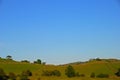 Hilly Silky Grassland with Trees and Gates in Lake District