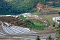 Hilly terraced field