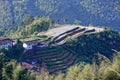 Hilly terraced field