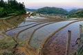 Hilly terraced field