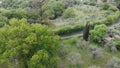 Hilly vegetations aerial view with oaks, cypresses and olive trees