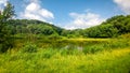 Hilly Wisconsin Landscape Scenery With Tall Grass