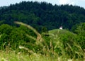 Cute little chapel on a hill with forest in the background Royalty Free Stock Photo