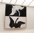 Hilma Af Klint Exhibit At The Guggenheim