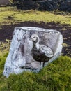 A bird painted on the lava rock found on Paradise Cliffs in Hilo, Hawaii Royalty Free Stock Photo