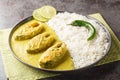 Hilsa fish in Mustard Sauce or shorshe Ilish served with white rice closeup on the plate. Horizontal Royalty Free Stock Photo