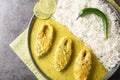Hilsa fish in Mustard Sauce or shorshe Ilish served with white rice closeup on the plate. Horizontal top view Royalty Free Stock Photo