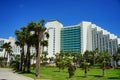 Hilton hotel and palm tree Royalty Free Stock Photo