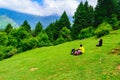 Prashar lake trekk