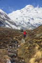 Himalaya Annapurna base camp trekking trail, Nepal Royalty Free Stock Photo
