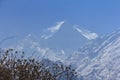 Himalaya Machapuchare mountain peak with blue sky, Nepal Royalty Free Stock Photo