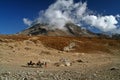 Himalaya mountain top