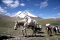 Himalaya Views Royalty Free Stock Photo