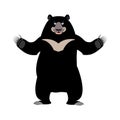 Himalayan bear happy emotion. Merry wild animal emoji. Black big