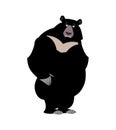 Himalayan bear sad emotion. sorrowful wild animal emoji. Black b