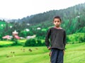 A Himalayan Boy in Green Meadow Surrounded by Deodar Tree in Himalayas, Sainj Valley, Shahgarh, Himachal Pradesh, India Royalty Free Stock Photo