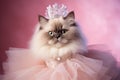 Himalayan Cat Dressed As A Princess