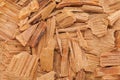 Himalayan cedar (Cedrus deodara) Chips. Royalty Free Stock Photo