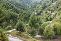 Himalayan cedar or deodar forest on mountain of swat valley, Pakistan Royalty Free Stock Photo