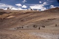 Himalayan Changpa nomads, Ladakh, India Royalty Free Stock Photo