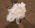 Himalayan clear quartz cluster with hematite inclusions on wet sand on the beach Royalty Free Stock Photo