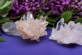 Himalayan Clear Quartz Clusters with Hematite inclusions surrounded by lilac flowers.