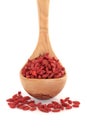 Himalayan Goji Berry Fruit