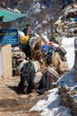 Himalayan Herdsman and Yaks on the bridge near Everest Base Camp in Nepal