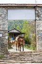 Himalayan horse caravan