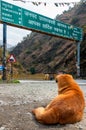 Himalayan Hound: Welcome to Uttarkashi