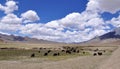 Himalayan Landscape