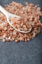 Himalayan pink coarse salt on a wooden spoon Royalty Free Stock Photo