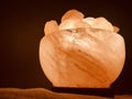 Himalayan pink salt lamp carved as a bowl.