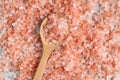 Himalayan pink salt in wooden spoon Royalty Free Stock Photo