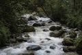 Himalayan river manali Royalty Free Stock Photo