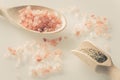 Himalayan salt and pepper on the wooden spoons and white table Royalty Free Stock Photo