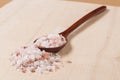Himalayan Salt on Spoon