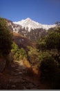 Himalayan SnowTrekking Routes Triund Kangra India Royalty Free Stock Photo