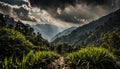 Himalayan Tranquility A Jungle Journey in Nepal Royalty Free Stock Photo