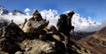 Himalayan trekker Royalty Free Stock Photo